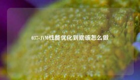 037-JVM性能优化到底该怎么做