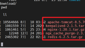 Nginx制作下载站点