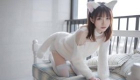 共享机场订阅链接